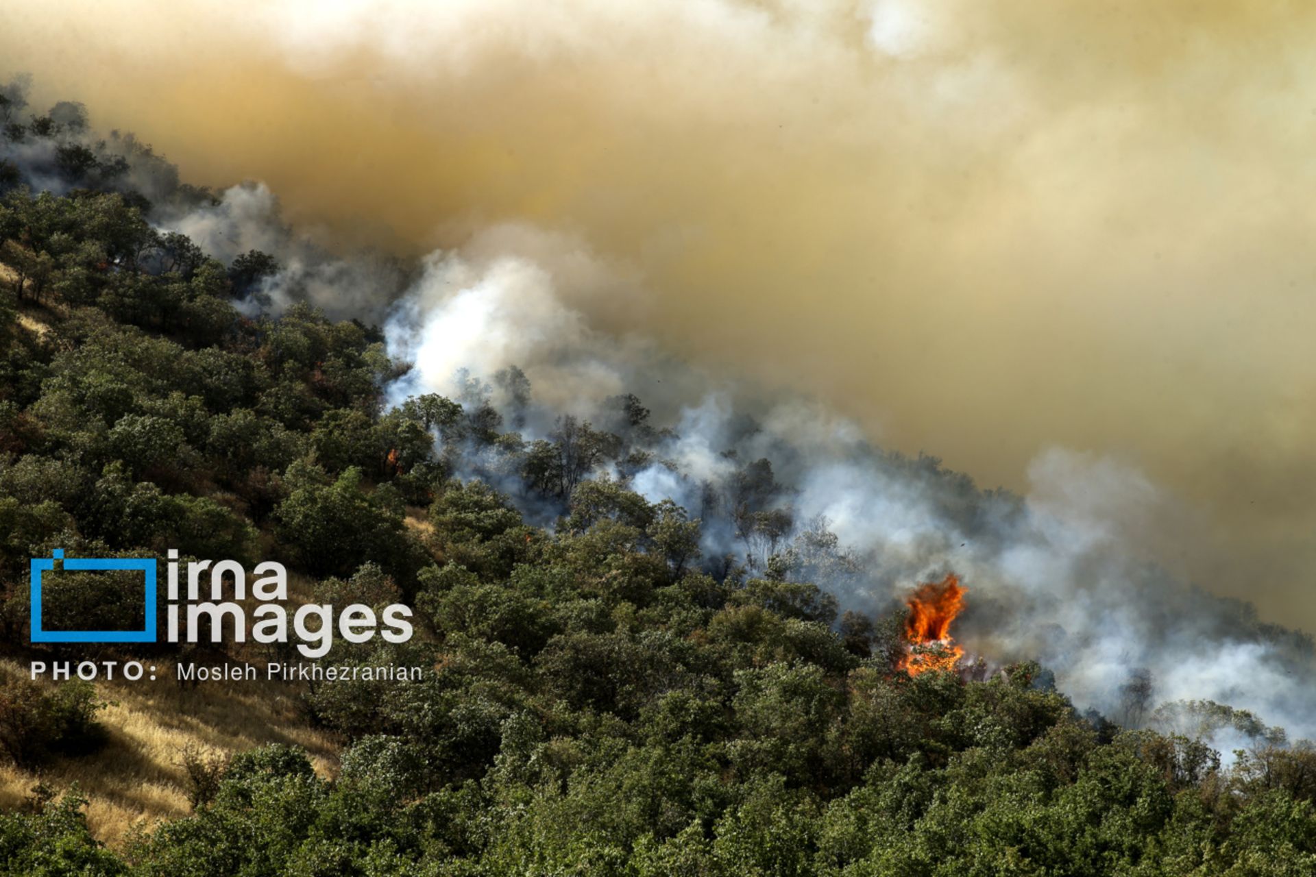 آتش‌سوزی جنگل الیت