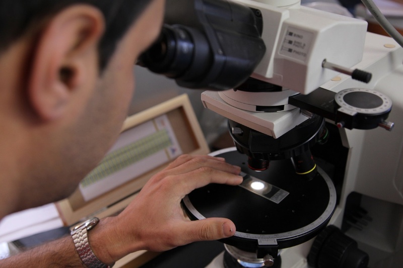 از دارو تا موشک؛ پول تحقیق و توسعه کشور چگونه تقسیم می‌شود؟