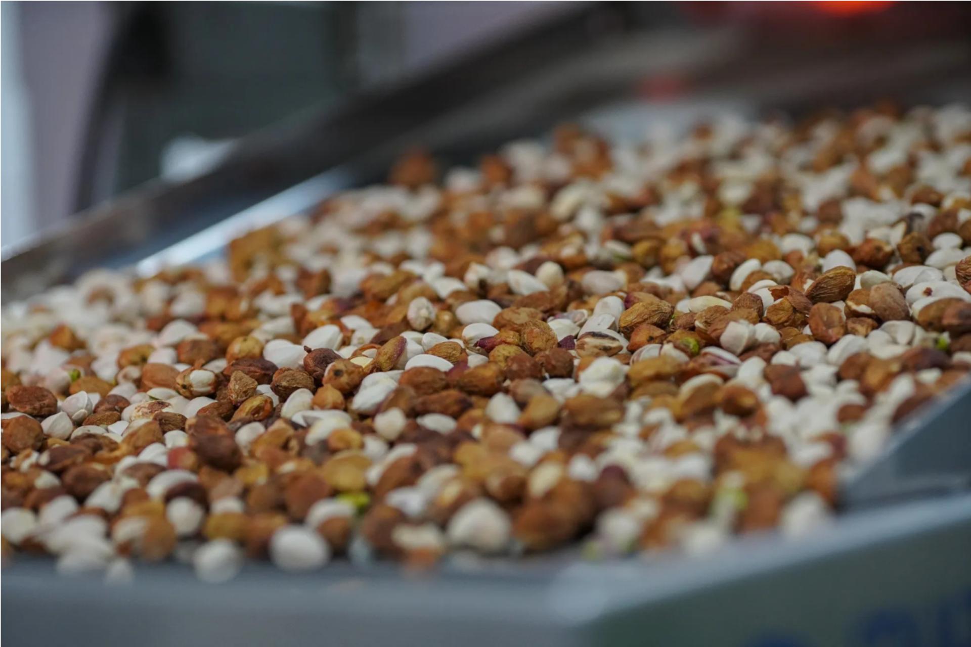 گسترش اثر جنگ تا بازار جهانی پسته؛ قیمت‌ها به اوج ۸ ساله رسید