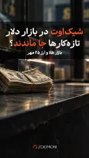 شیک‌اوت در بازار دلار؛ تازه‌کارها جا ماندند