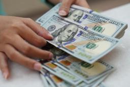اسکناس‌های ۱۰۰ دلاری آمریکا (US Dollar) در دست‌های یک فرد