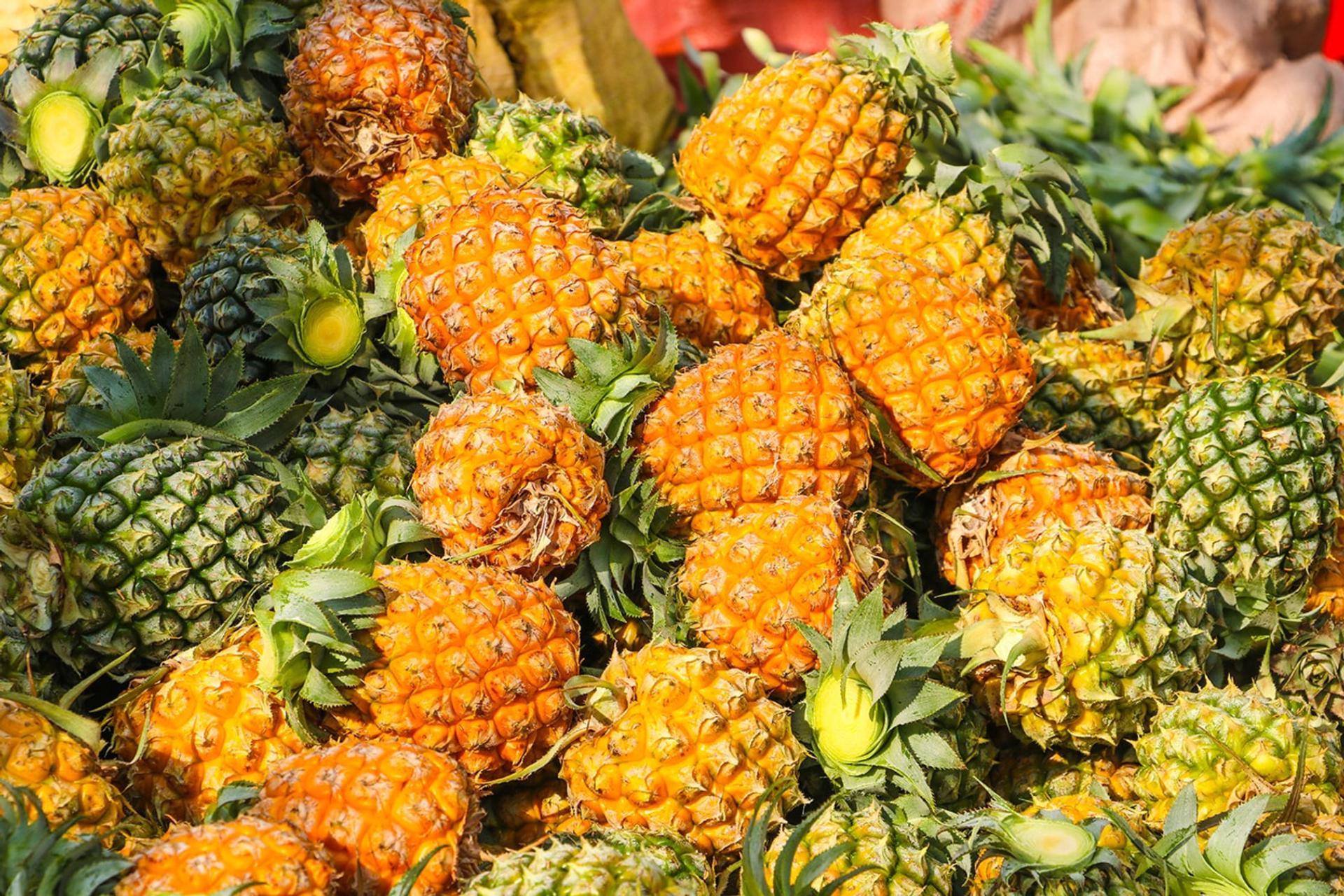 شرط جدید برای واردات آناناس