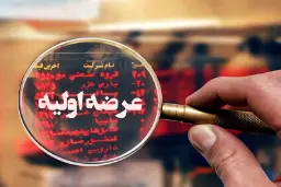 عبارت عرضه اولیه روی یک ذره‌بین در مقابل فهرست قیمت سهام