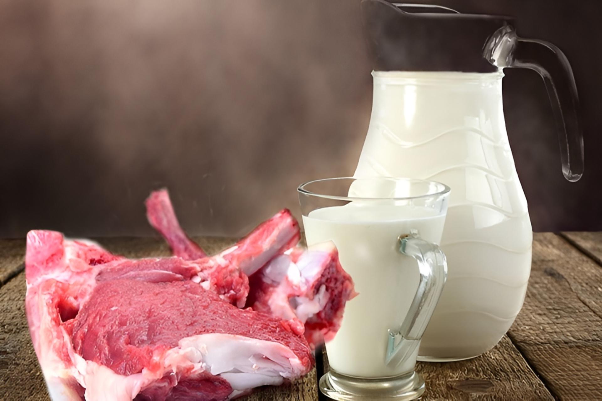 لبنیات و گوشت
