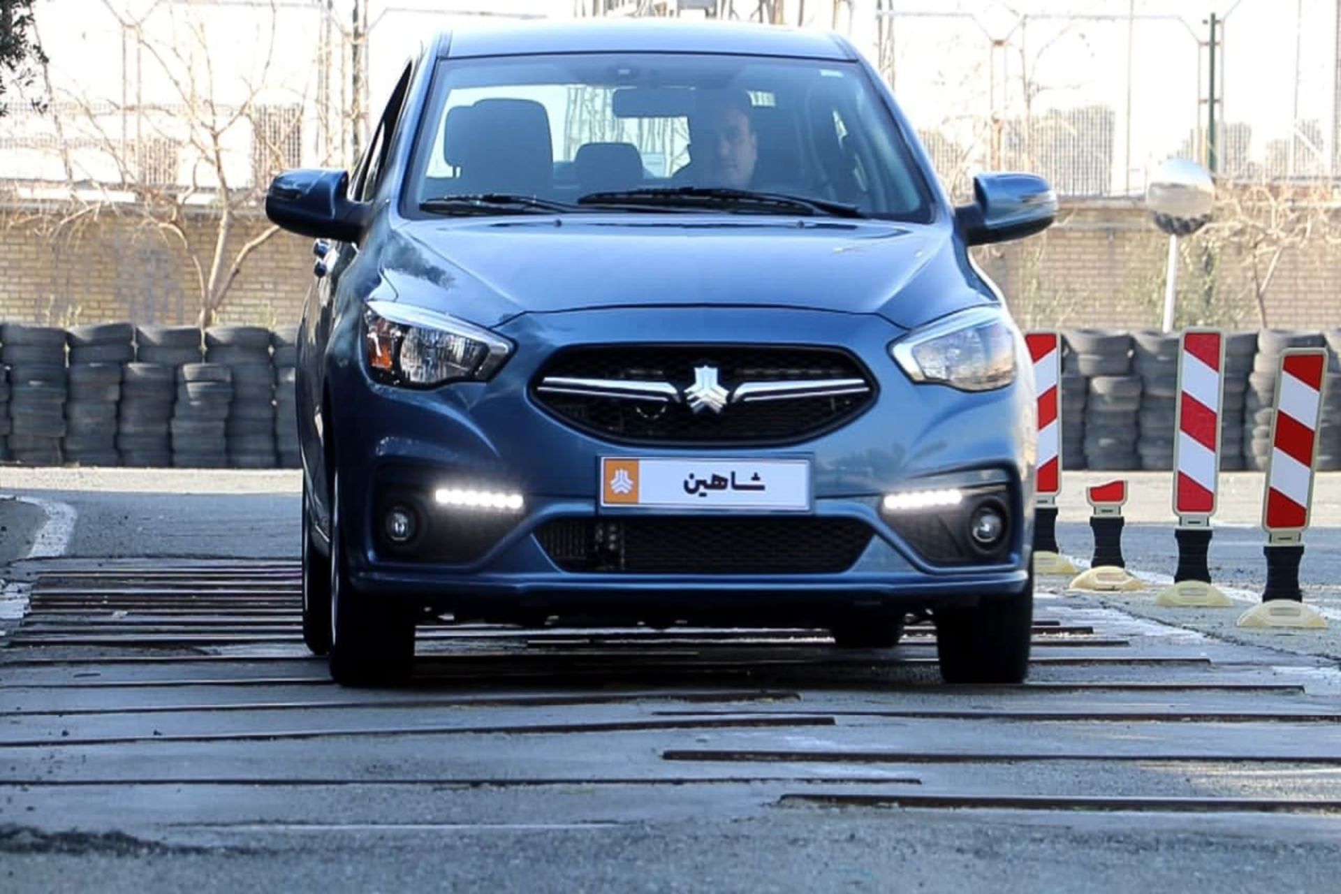 شاهین دنده ای 