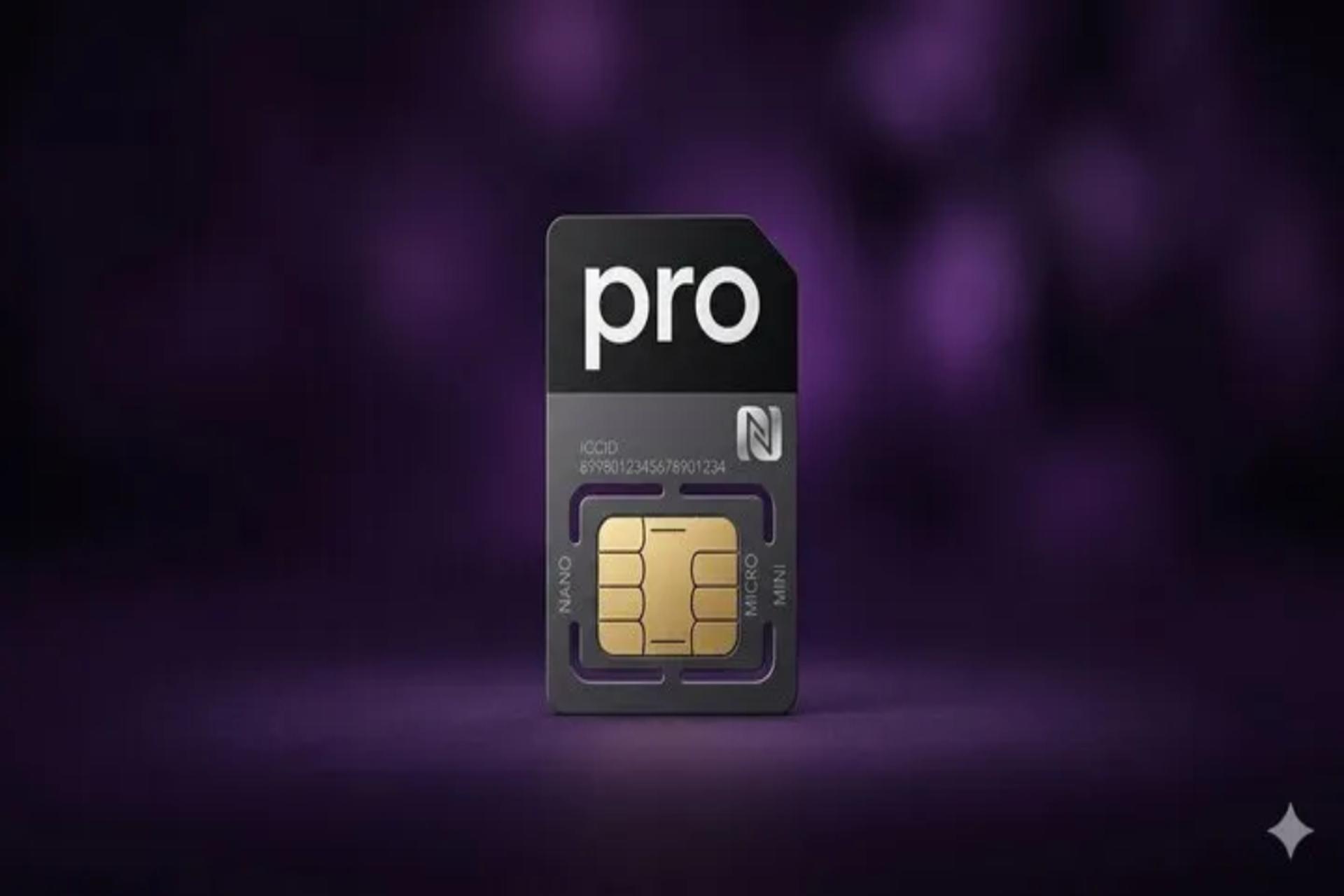 اینترنت پرو