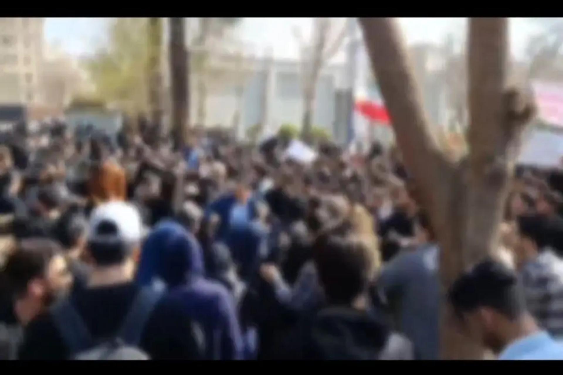 تجمع در در دانشگاه