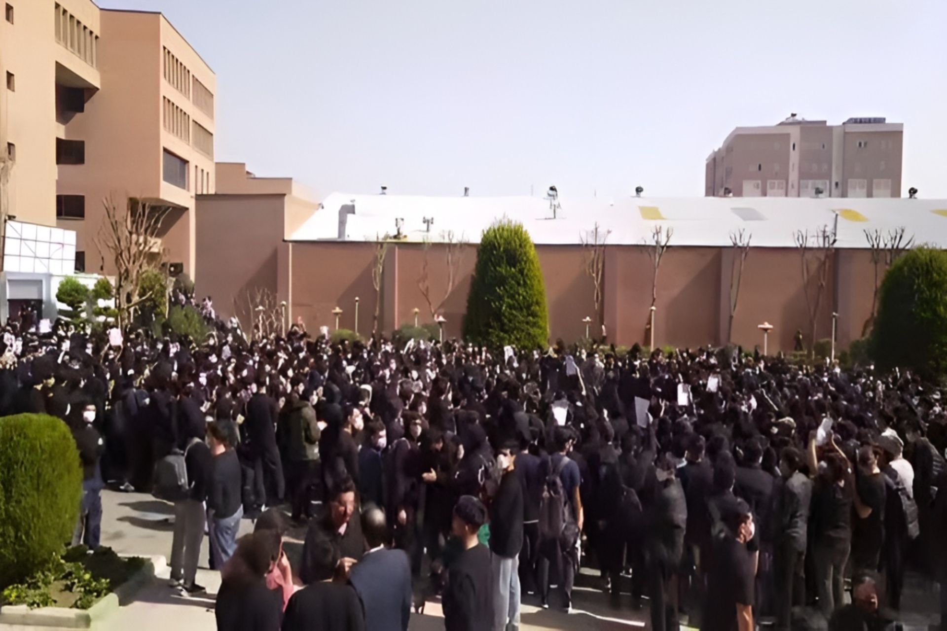 تجمع دانشجویان