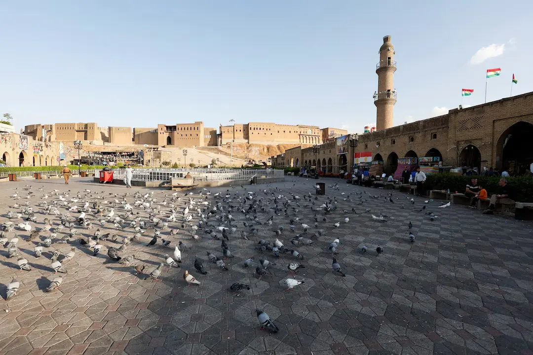 قلعه اربیل (Erbil Citadel) در پس‌زمینه و دسته‌ای کبوتر در میدان شهر