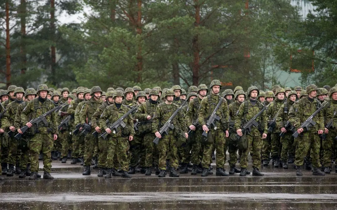 سربازان ارتش استونی (Estonian Defence Forces) با تجهیزات کامل و سلاح در صف ایستاده‌اند
