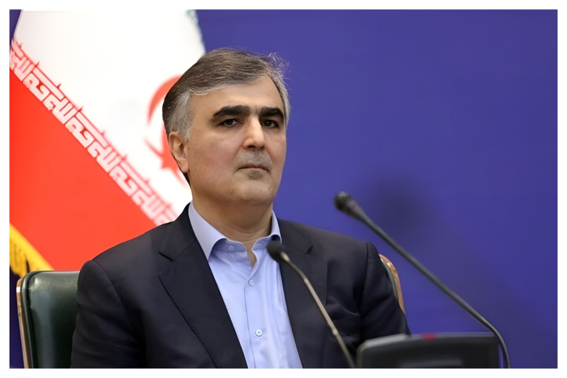 محمدرضا فرزین