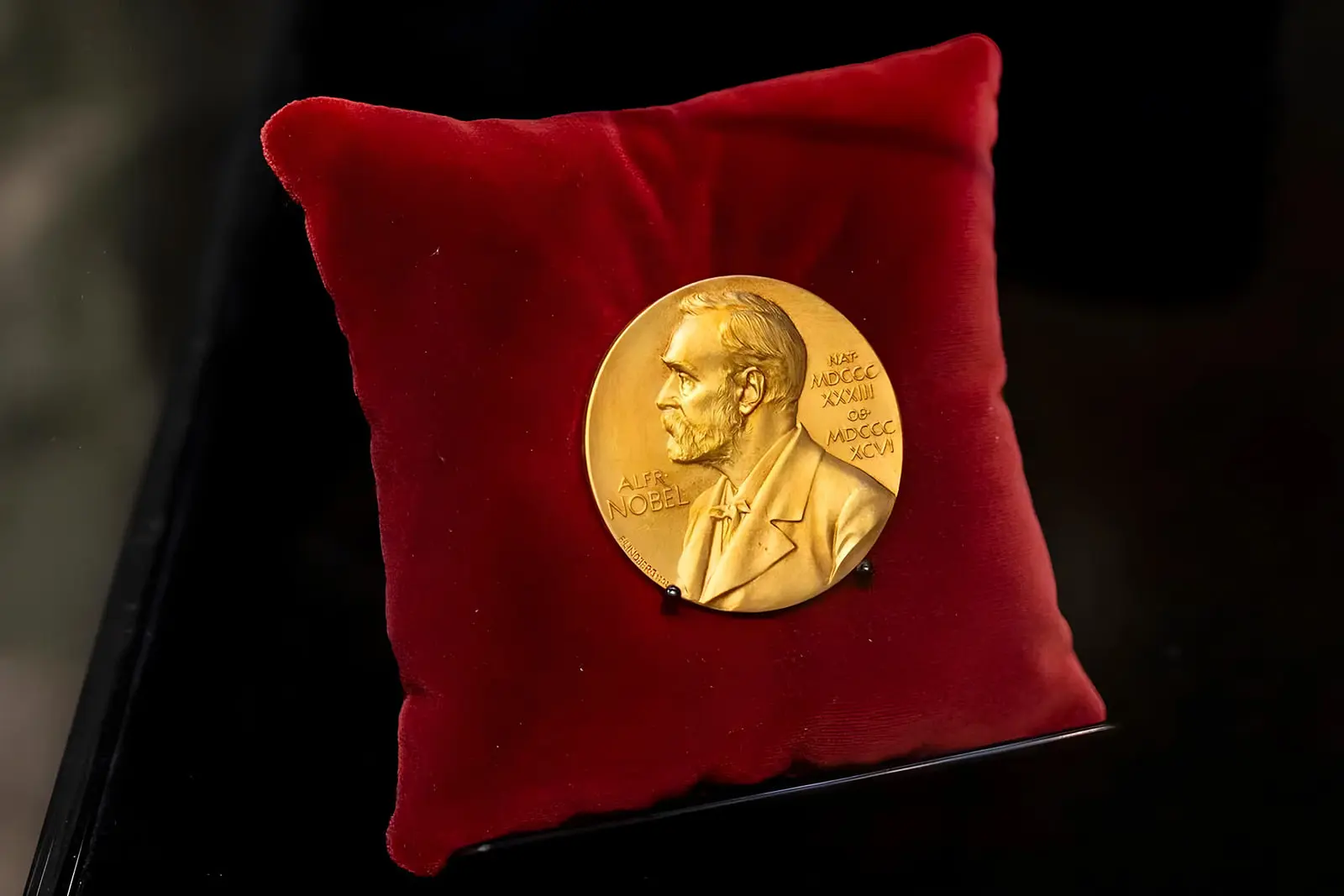 مدال طلای جایزه نوبل (Nobel Prize) روی یک بالش مخمل قرمز
