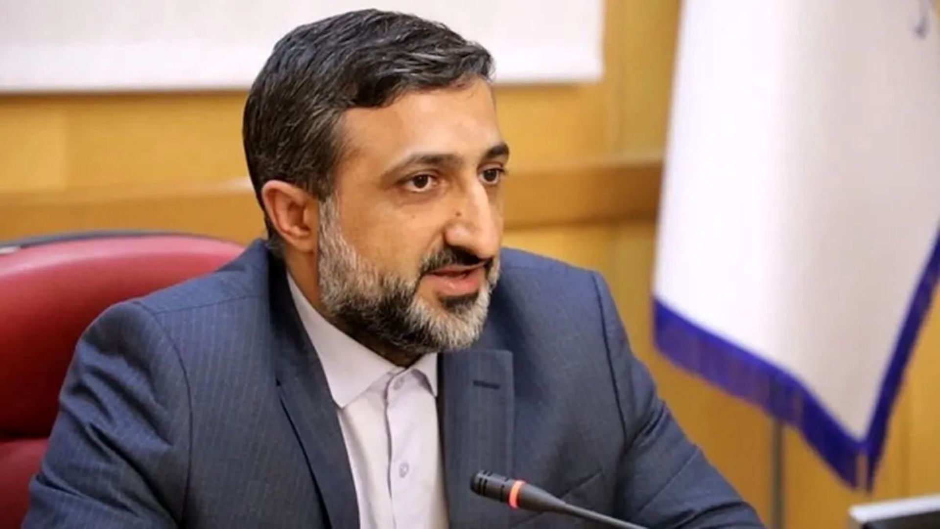 حامد عاملی