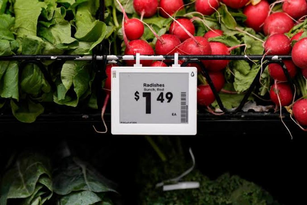 رادیش (Radish) تازه با برگی سبز در کنار برچسب قیمت