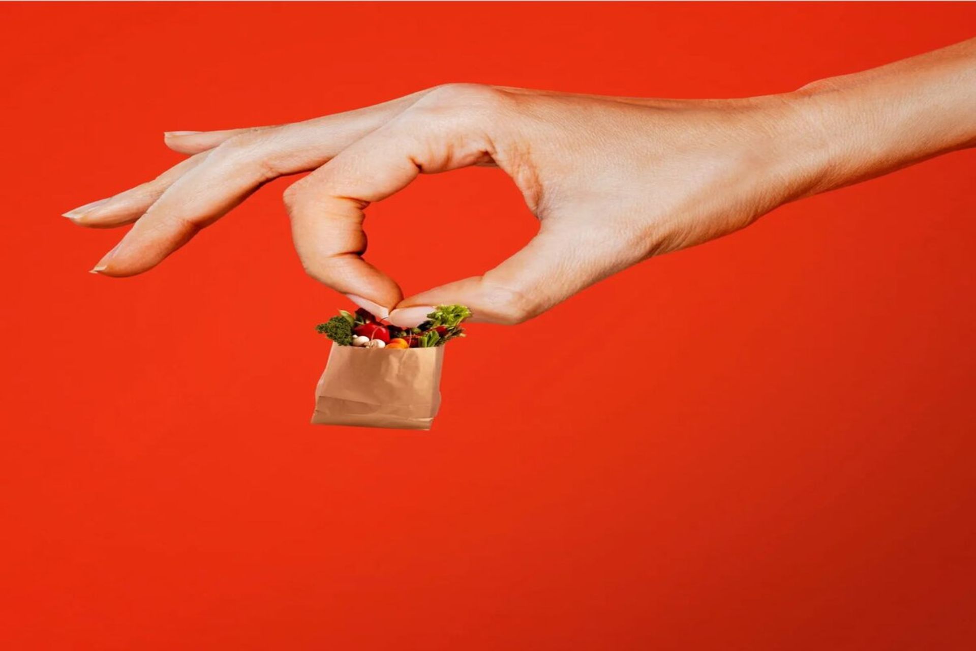 طرح یک دست که یک خرید کوچک شده را به نمایش گذاشته