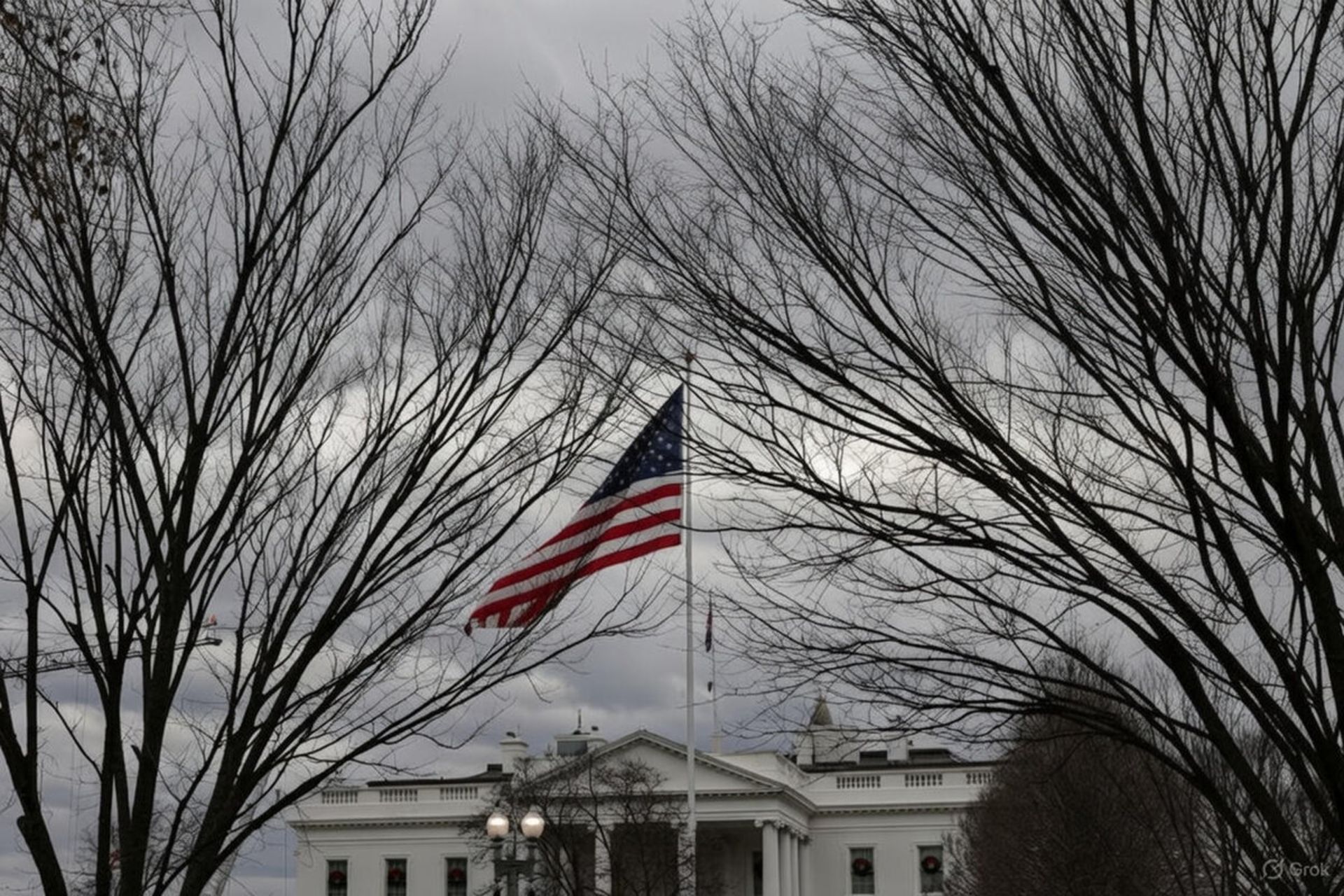 نمایی زمستانی و غم‌انگیز از کاخ سفید ، با پرچم آمریکا در اهتزاز میان شاخه‌های برهنه درختان و آسمان ابری.
