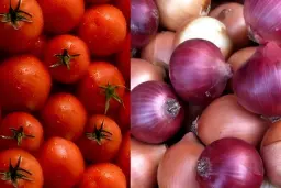 گوجه‌فرنگی و پیاز که از کالاهای مشمول قوانین جدید گمرک هستند