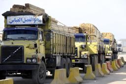 کامیون‌های زرد رنگ حامل بسته‌های بزرگ الوار در جاده