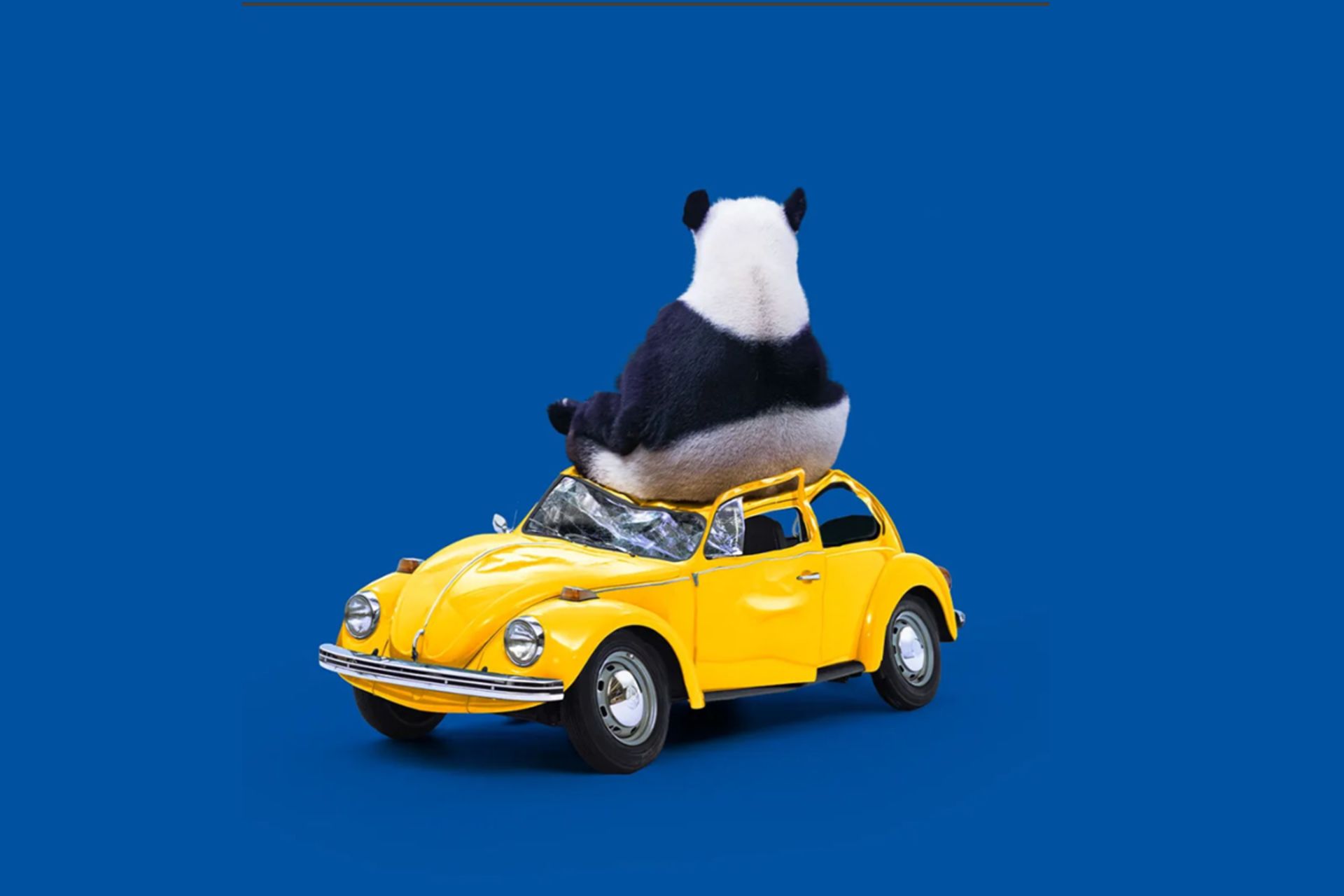 اتحادیه اروپا